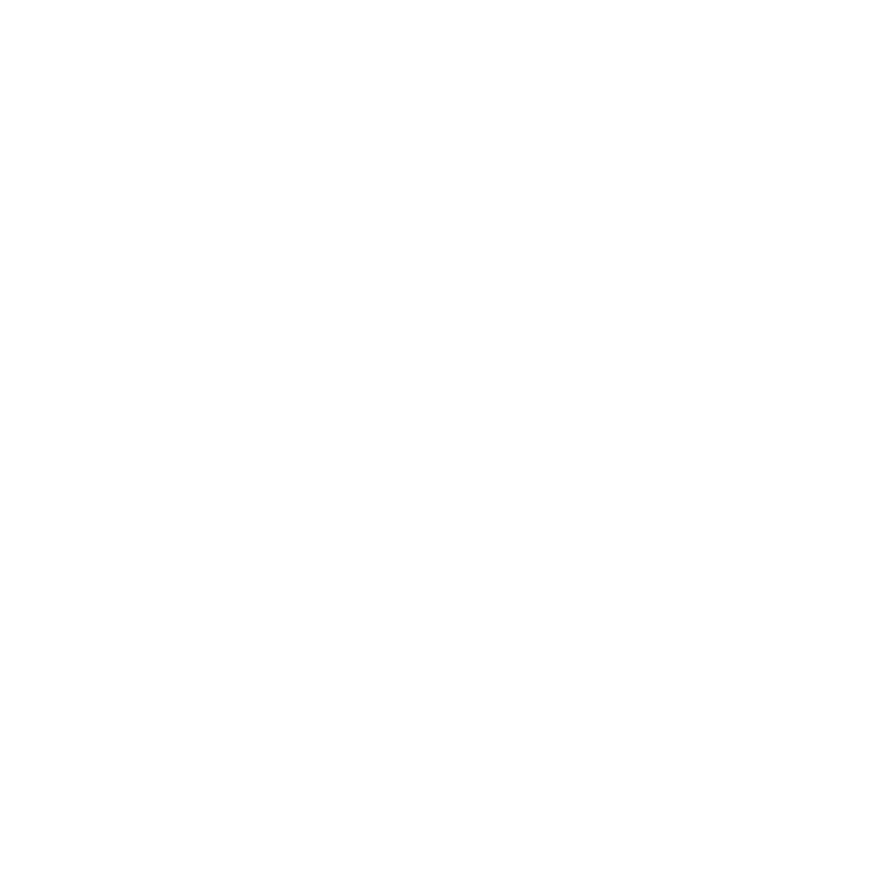 iconinsta